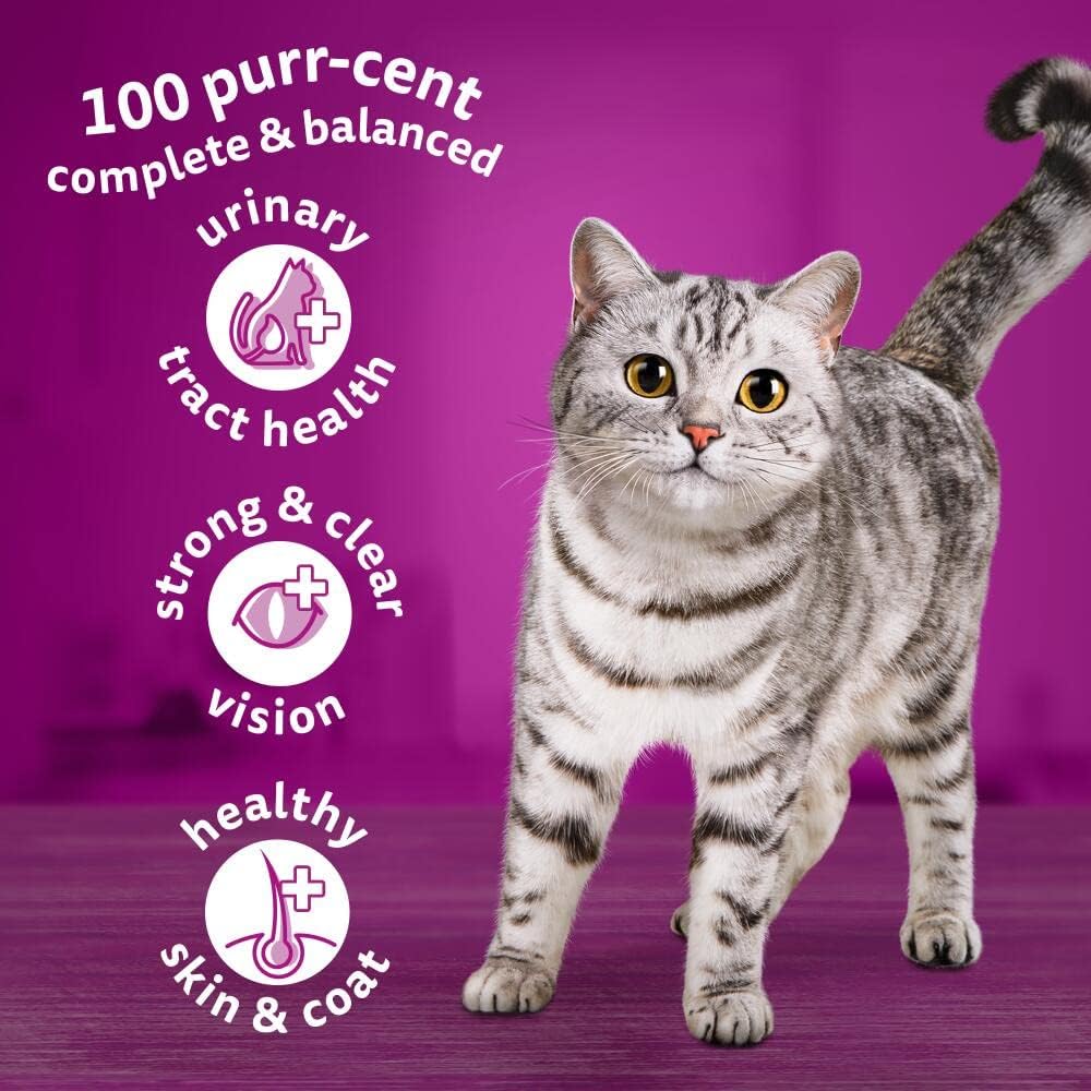 Whiskas 1+ Adult Dry Cat Food | Chicken | 7kg Bulk Bag
